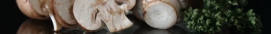 Modelo catálogo de produtos